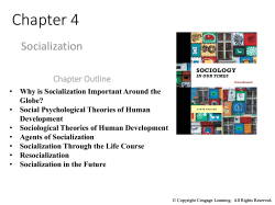 Sociology in Our Times: The Essentials