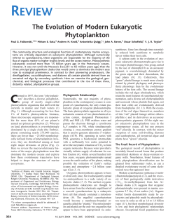 The evolution of modern eukaryotic phytoplankton