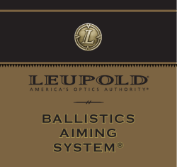 ballistics aiming system