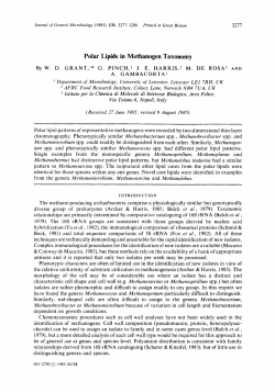 Polar Lipids in Methanogen Taxonomy