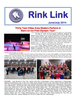Rink Link
