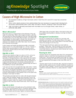 Causes of High Micronaire in Cotton