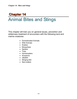 Animal Bites and Stings
