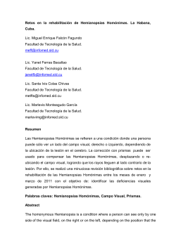 Retos en la rehabilitaci&oacute;n de Hemianopsias