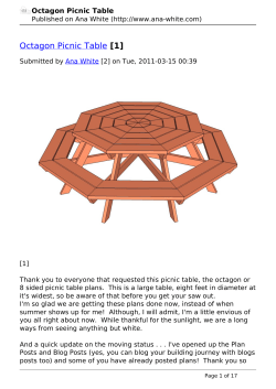 Octagon Picnic Table