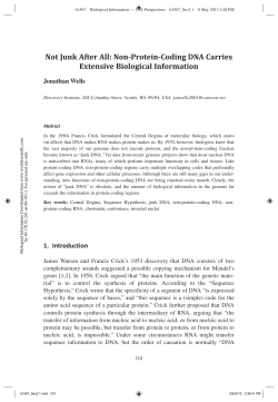 Not Junk After All: Non-Protein-Coding DNA Carries Extensive