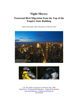 Night Migration at the Empire State Building Report