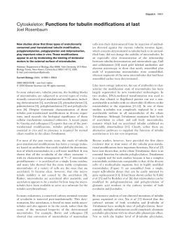 Cytoskeleton: Functions for tubulin modifications