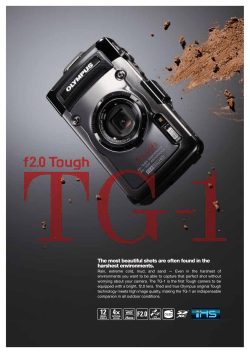 The most beautiful shots are often found in the