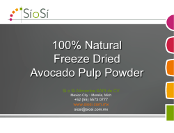 100% Natural Freeze Dried Avocado Pulp Powder