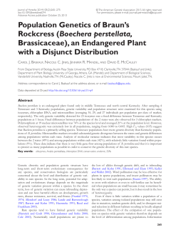 Population Genetics of Braun`s Rockcress (Boechera perstellata