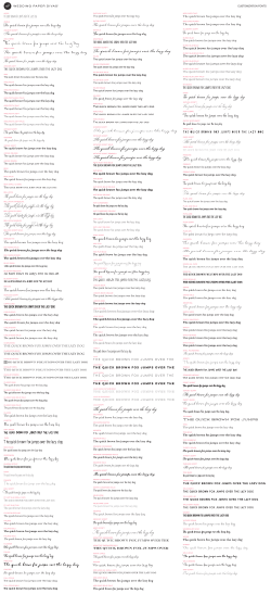 The quick brown fox jumps over the lazy dog