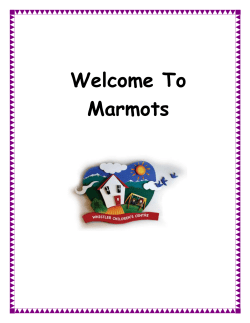 Marmots - Whistler Children`s Centre Society