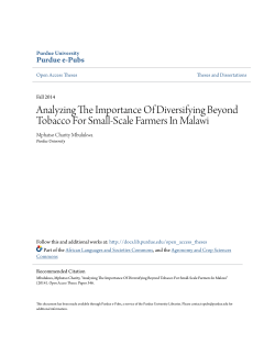 Analyzing The Importance Of Diversifying Beyond - Purdue e-Pubs