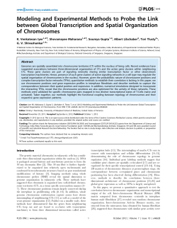 Spatial organization of chromosomes is linked to global gene