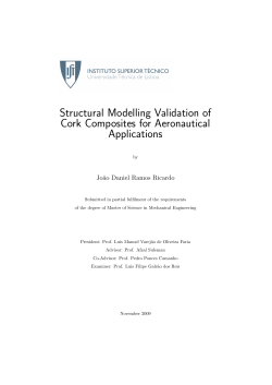 Structural Modelling Validation of Cork Composites
