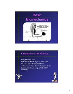Basic Biomechanics