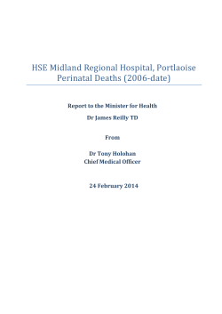 HSE Midland Regional Hospital, Portlaoise Perinatal Deaths (2006