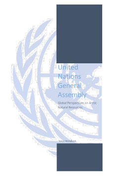 United Nations General Assembly