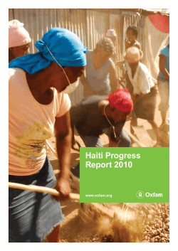 Haiti Progress Report 2010