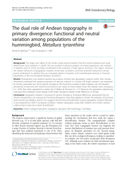 The dual role of Andean topography in primary divergence