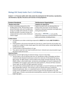 Biology EOC Study Guide: Part 2, Cell Biology Content Standards