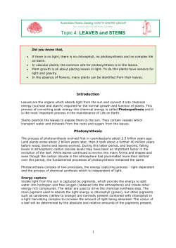 notes v2 - Blandfordia