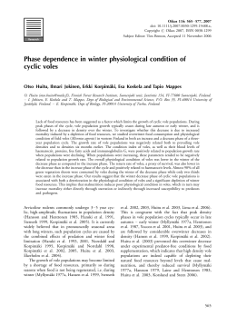 Phase dependence in winter physiological condition of cyclic voles