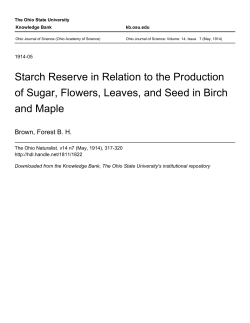 Starch Reserve in Relation to the Production of