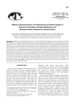Effects of Synchronization of Carbohydrate and Protein Supply on