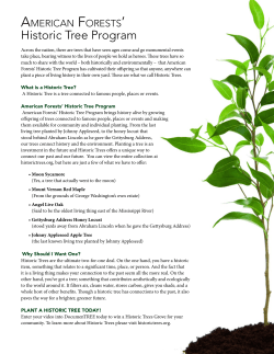 Historic Tree Program
