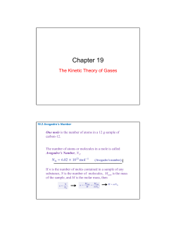 Chapter 19