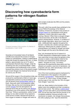 Discovering how cyanobacteria form patterns for nitrogen