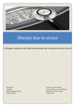 Obesity due to stress - Utrecht University Repository
