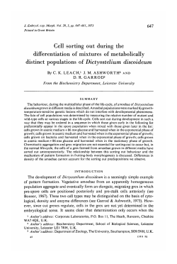 Cell sorting out during the differentiation of mixtures