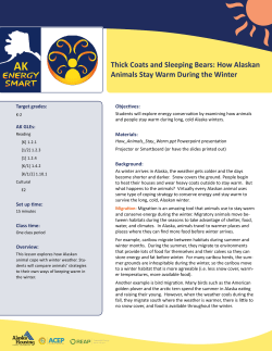 Thick Coats and Sleeping Bears: How Alaskan Animals Stay Warm