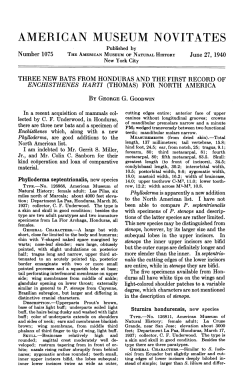 american museum novitates - AMNH Library Digital Repository