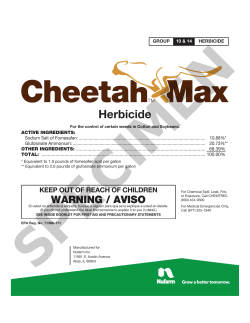 Cheetah Max