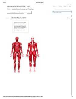 Module 2 / Muscular System