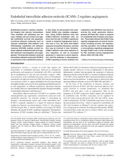 Endothelial intercellular adhesion molecule (ICAM