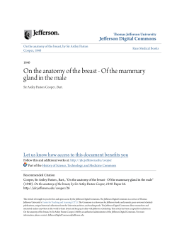 Of the mammary gland in the male