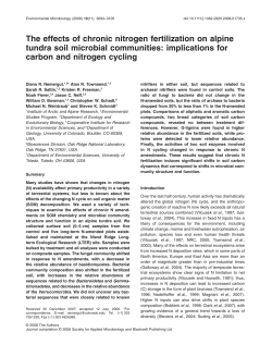 The effects of chronic nitrogen fertilization on alpine tundra soil