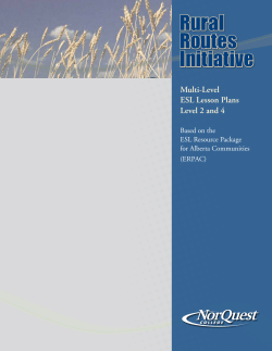 Multi-Level ESL Lesson Plans