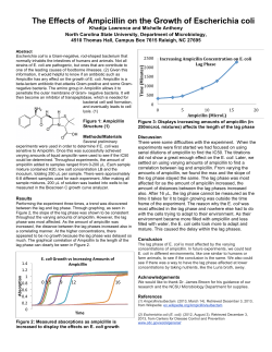 The Effects of Ampicillin on the Growth of Escherichia coli