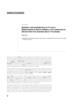 diversity and distribution of thylamys (didelphidae) in south