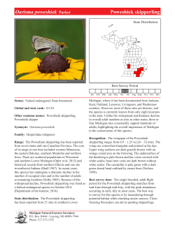 Oarisma poweshiek - Michigan Natural Features Inventory