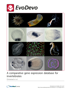 A comparative gene expression database for invertebrates