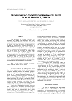 prevalence of coenurus cerebralis in sheep in kars province, turkey
