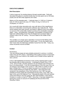 expert adviser`s statement - huqqa