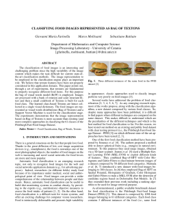 CLASSIFYING FOOD IMAGES REPRESENTED AS BAG OF